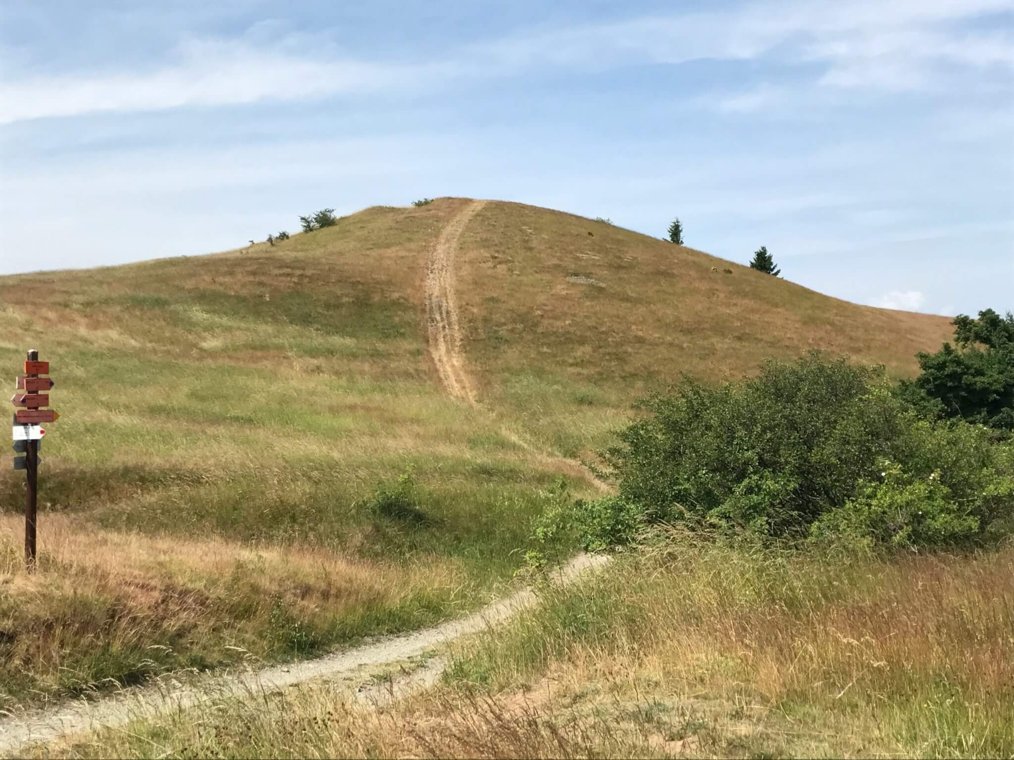 Race to the Anniversary